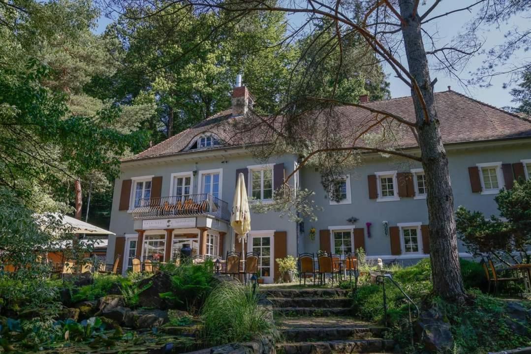 Hotel Und Restaurant Halbinsel Blieskastel Exteriér fotografie