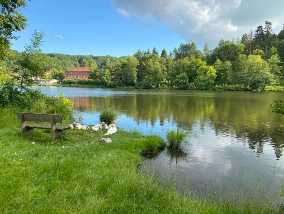 Hotel Und Restaurant Halbinsel Blieskastel Exteriér fotografie